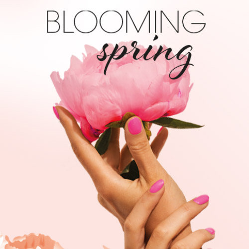 alessandro - Blooming Spring 