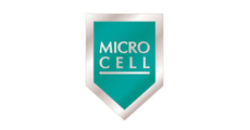MicroCell Logo